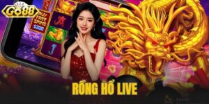 Rồng Hổ Live