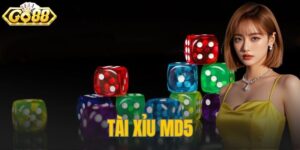 Tài Xỉu MD5